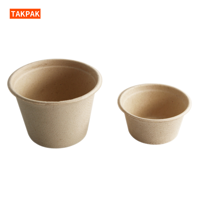 Bagasse Plates: Reducing Waste, Elevating Dining